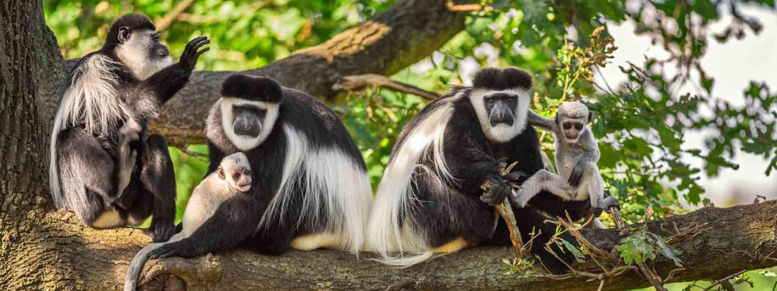 Arusha National Park