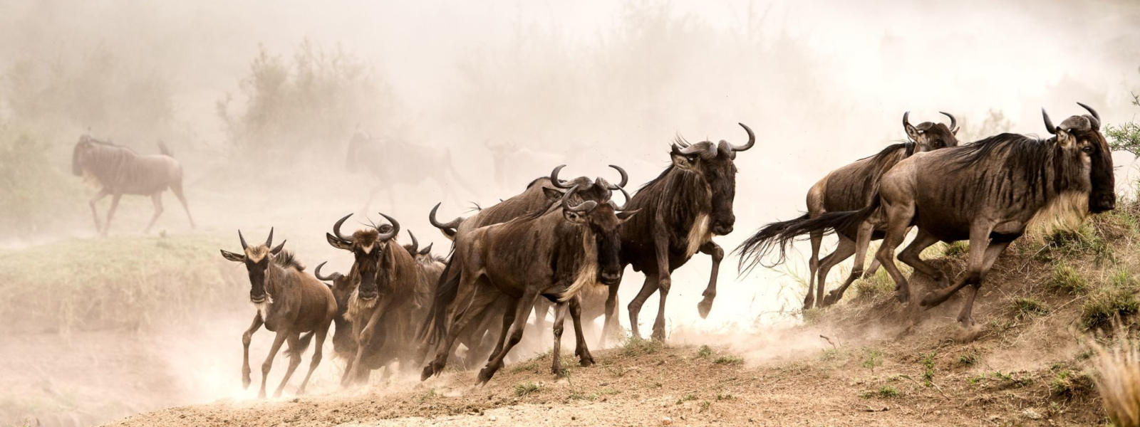 Serengeti National Park