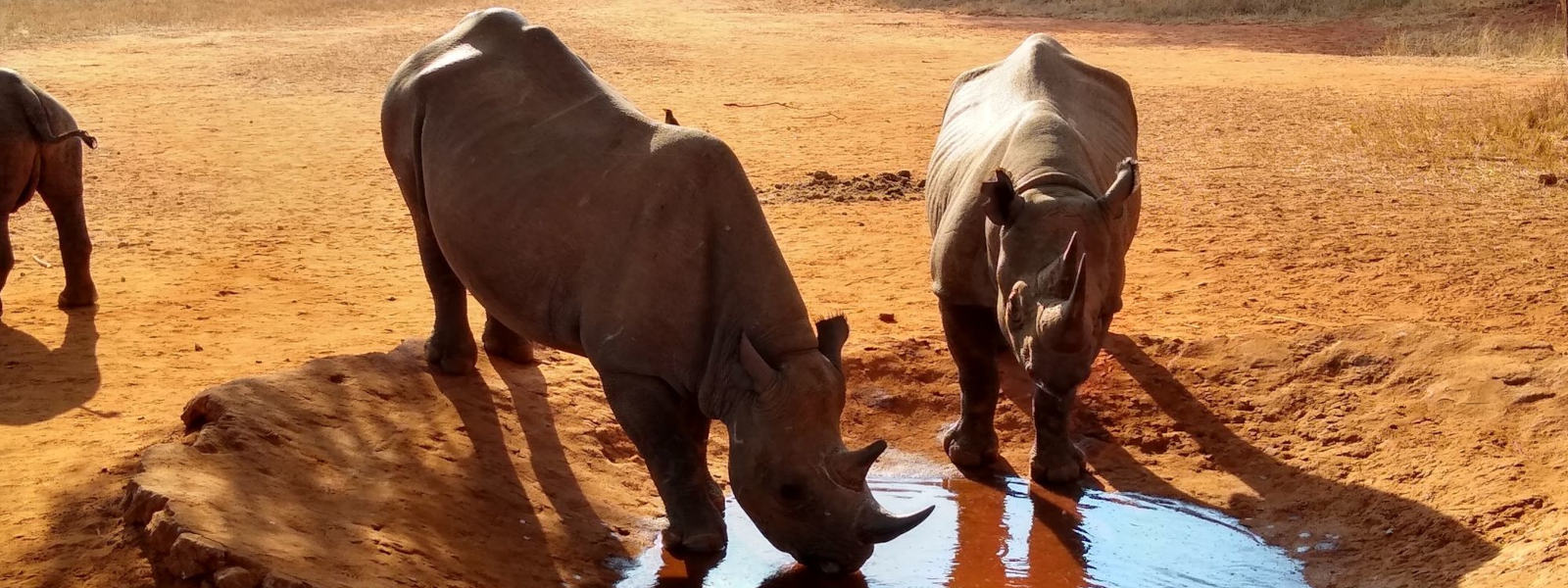 Mkomazi National Park